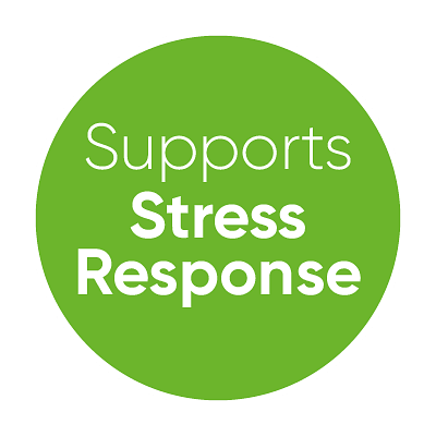 Everyday Essentials for Stress Support