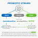 ProbotiX® Daily 5 Live Probiotic Strains
