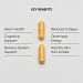 Vitamin B Complex Key Benefits