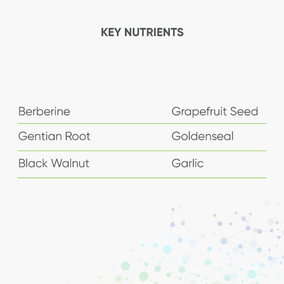 Berberine & Grapefruit Seed Capsules to Support Gut MicroFlora