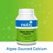 Algae-Sourced Calcium Information Video