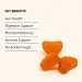 Bactiol Gummies Adults Key Benefits