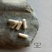 Black Walnut Complex Capsule Photography