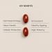 CoQ10 100mg 30 Capsules Key Benefits