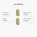 Everyday Essentials for Immune Support Key Benefits
