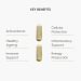Glutathione Plus Key Benefits