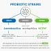 Probiotic Plus Probiotic Strains