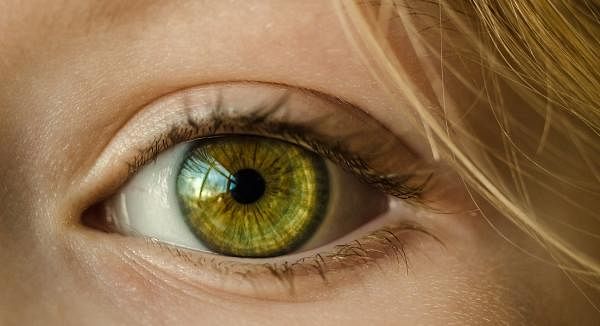 Eye Health Supplements Explained