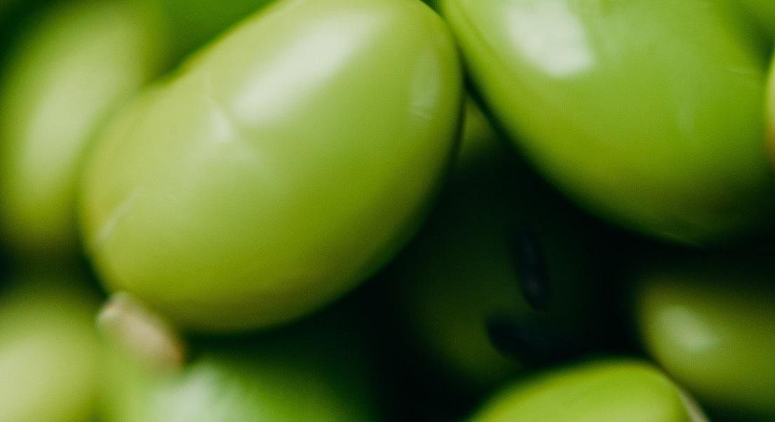 Jo Gamble on Phytoestrogens: "There’s So Much More to the Picture Than Just Soya"