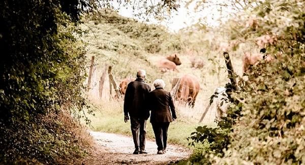 Over 50's at risk of malnutrition