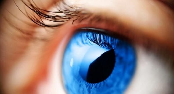 Common Eye Conditions & Key Nutrients to Help