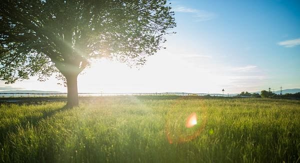 Does Vitamin D Deficiency Contribute to PMS?
