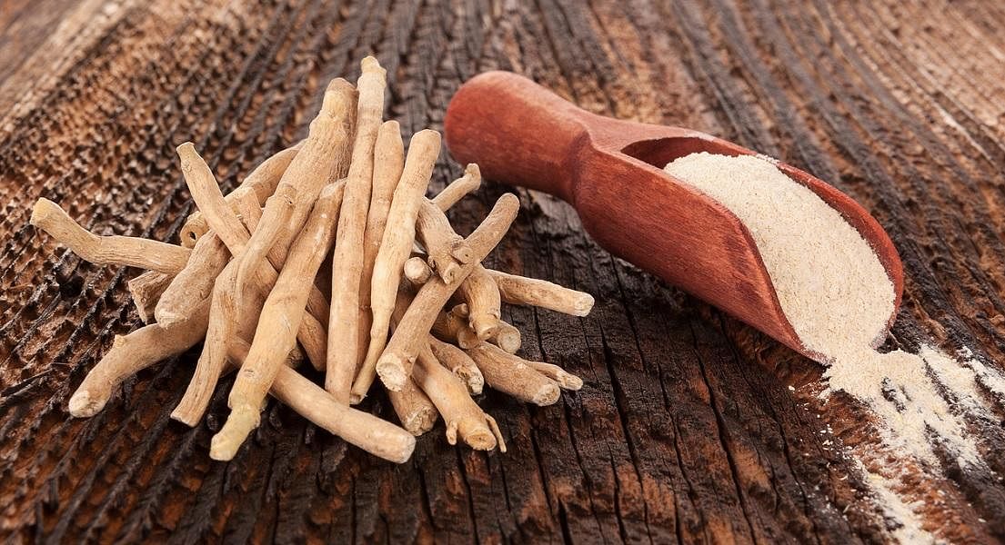 The Versatility of Ashwagandha: Research Highlights
