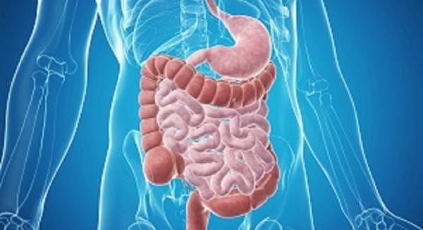 How Functional Medicine Can Fix Your Gut