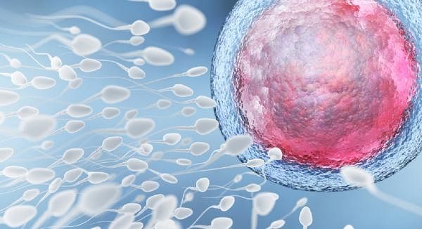 How B Vitamin Myo-inositol Supports Fertility