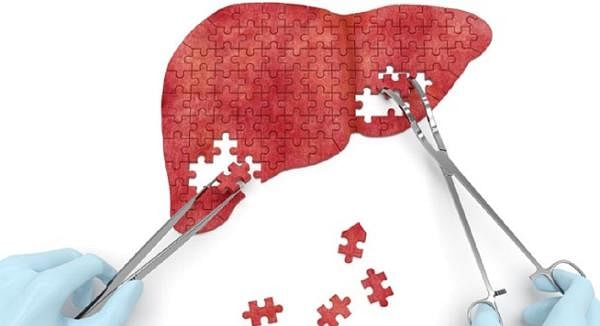 What Your Liver Actually Does...