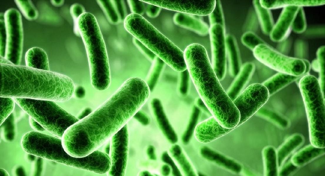 4 Ways Epstein Barr Virus Promotes Autoimmunity