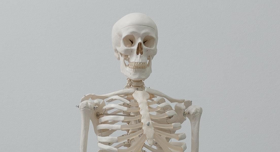 Understanding The Bigger Picture Of Bone Health