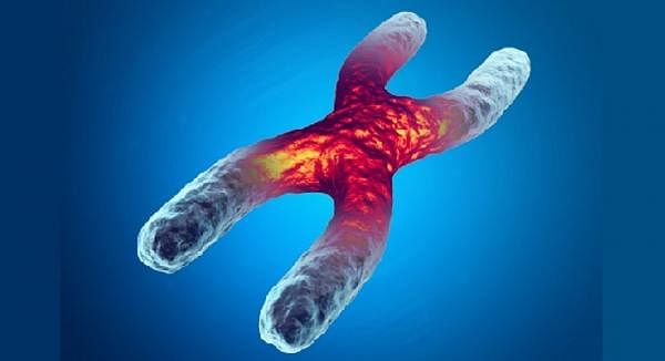 Telomeres & Supporting Healthy Ageing