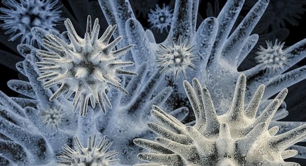 Natural Therapies to Support Th1 / Th2 Immune Balance