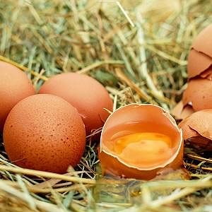 Nutritionists Share Their Favourite Egg Recipes