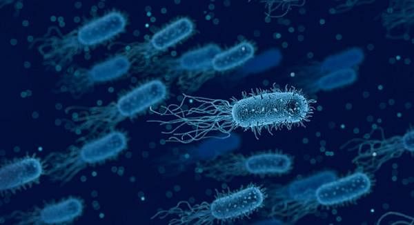 5 Incredible Health Benefits of Friendly Bacteria