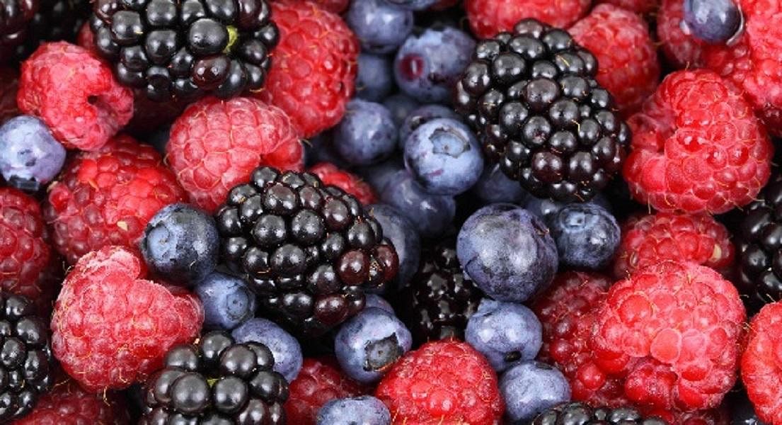 Why Are Multivitamin & Mineral Formulas So Important?