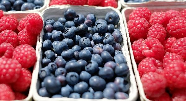 The Powerful Benefits of Superfoods Including Spirulina And Acai Berries