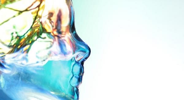 Can Gut Bacteria Influence How You Think & Feel?