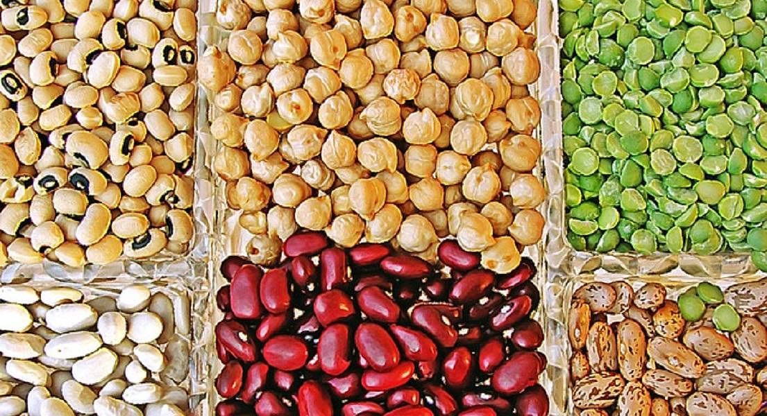 Plant-Based Eating - Protein-Rich Vegetables