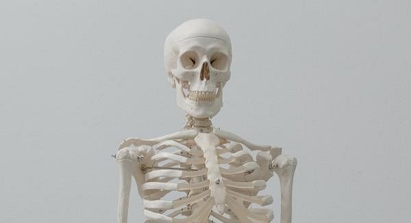 Understanding The Bigger Picture Of Bone Health
