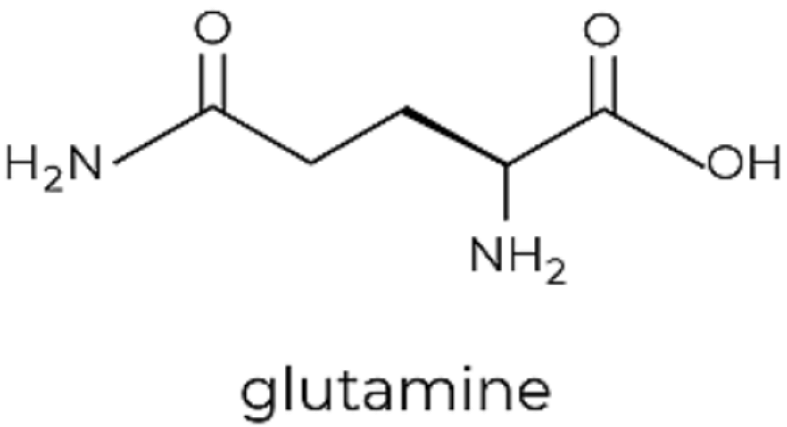 Amino Acids - Glutamine