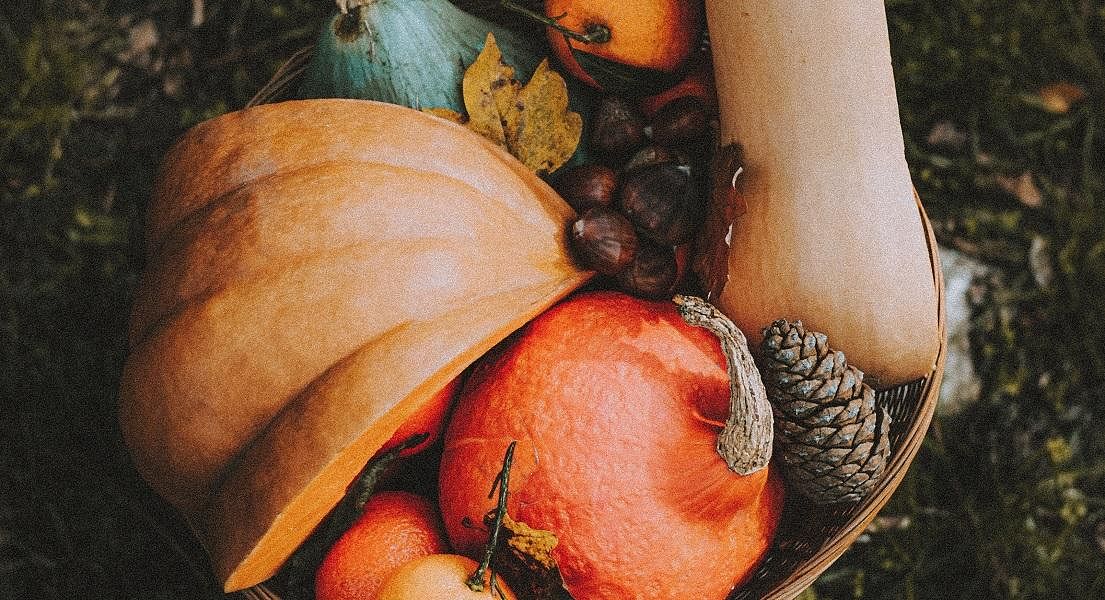 The Importance Of Vitamin A For Immune Health