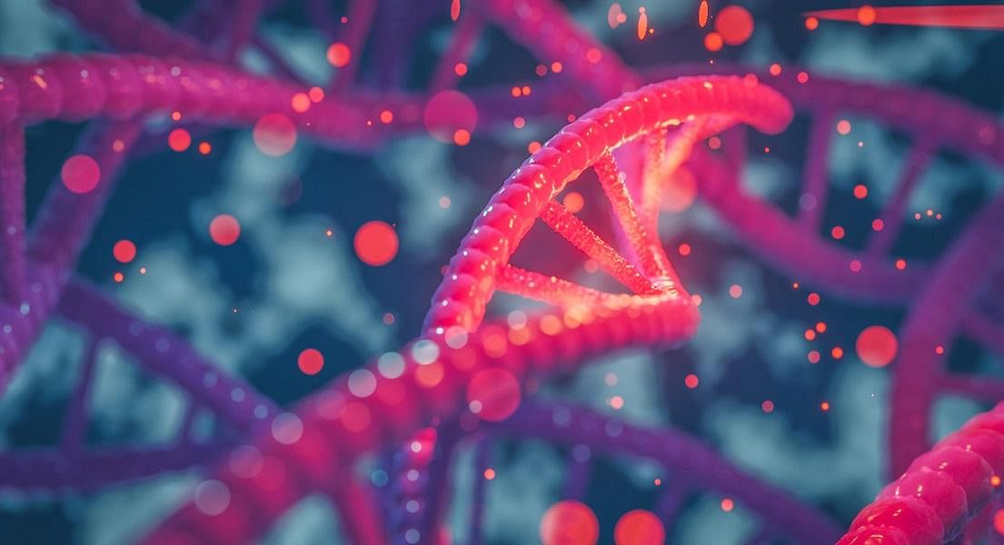 How Does COMT Impact Female Hormonal Health?