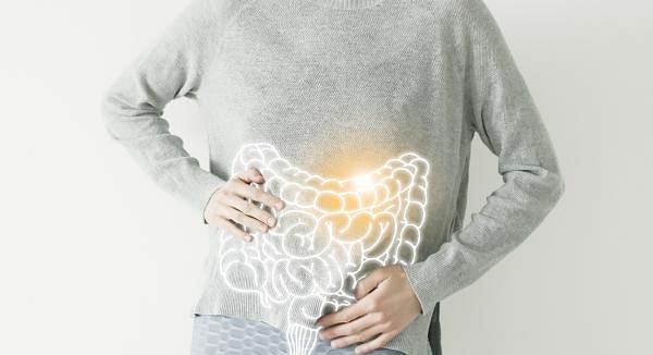 Nurture Your Gut Health to Support Oestrogen Balance